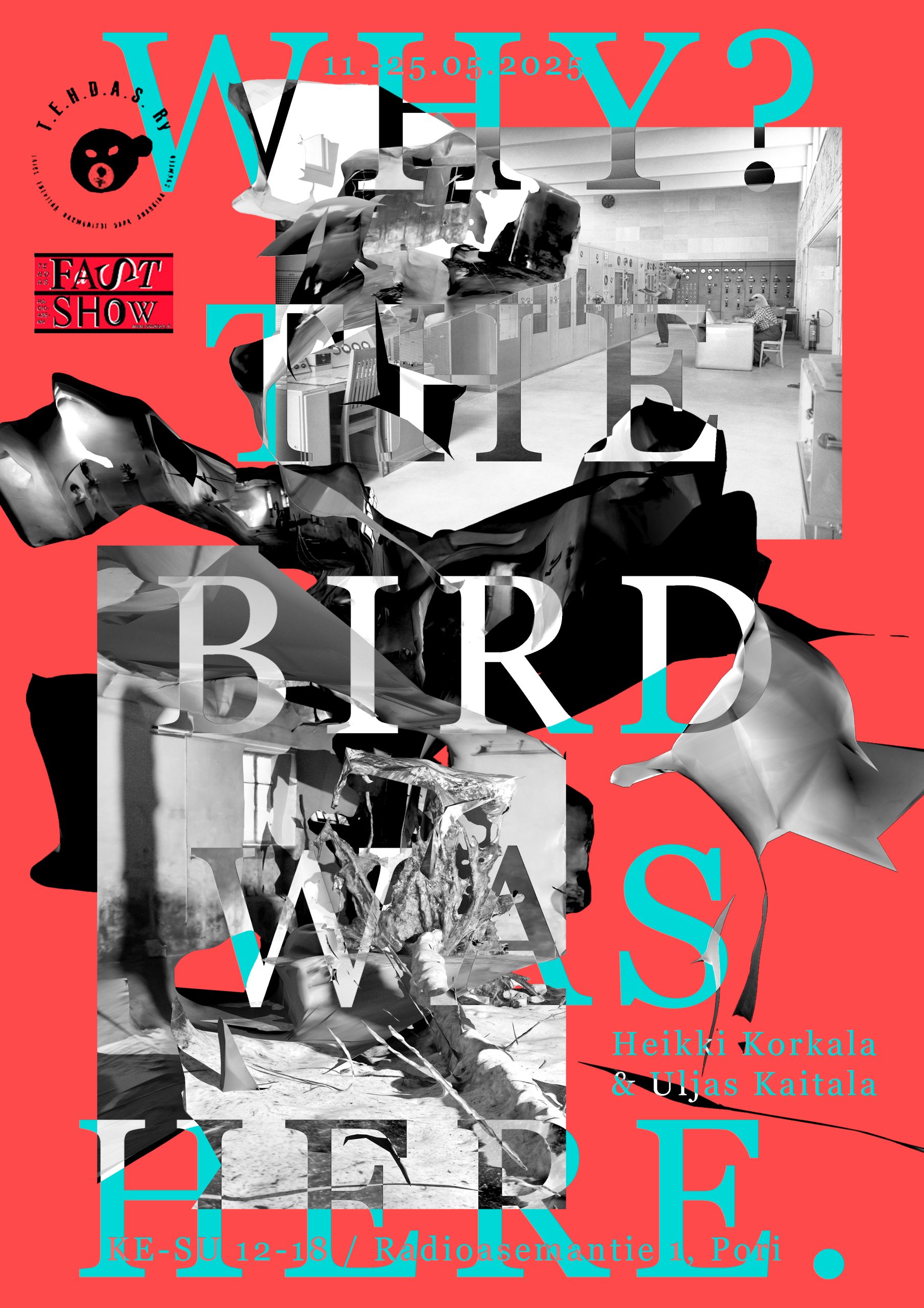 Why? The bird was here. 11.⁠ ⁠- 25.5. 2025